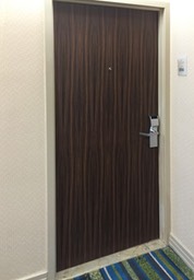 Alana Doubletree Door AFTER•