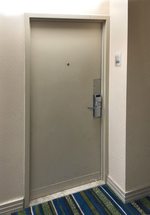 Alana Doubletree Door BEFORE•