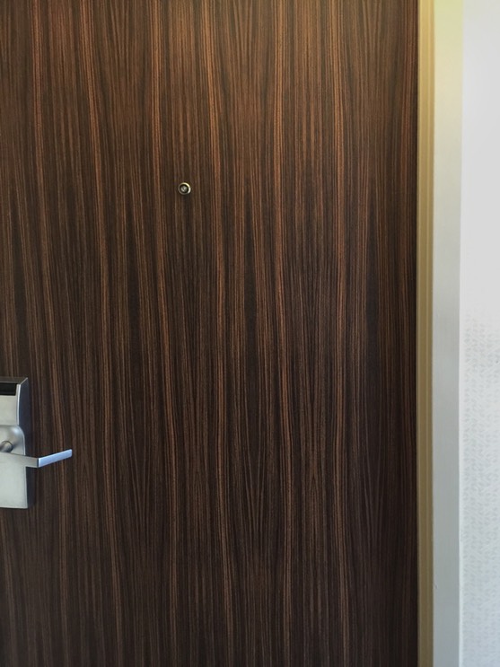 Alana Doubletree Door Closeup•