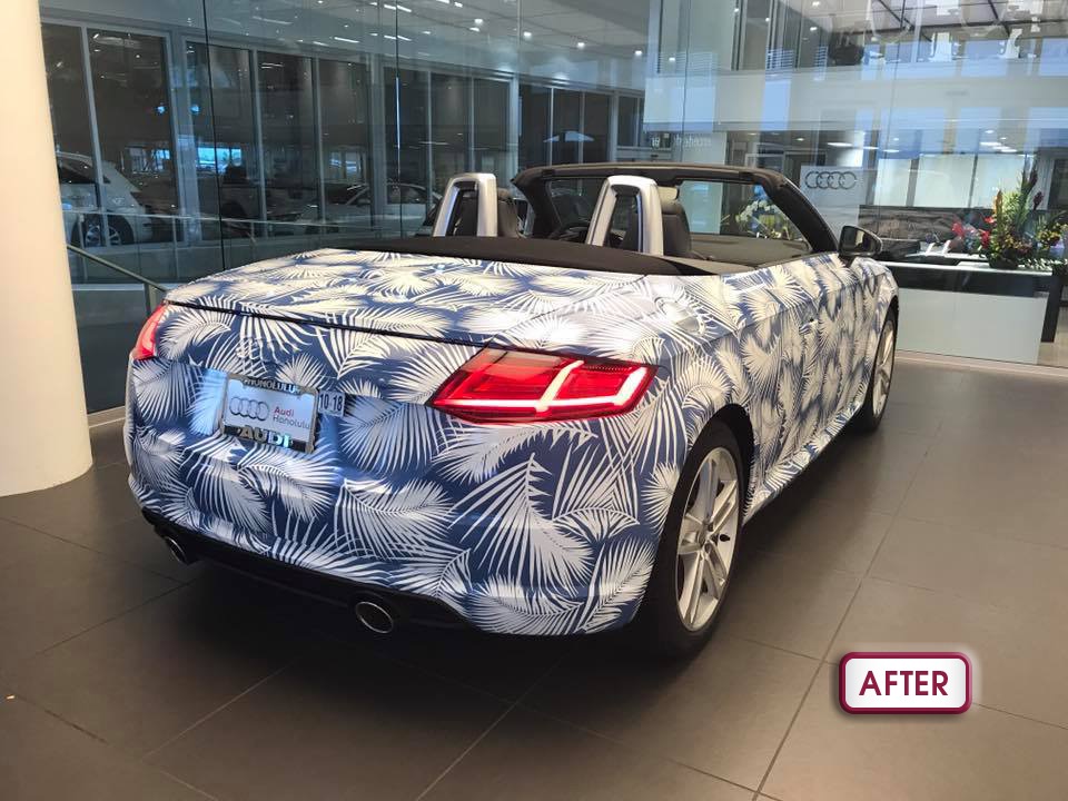 Audi TT After Back•