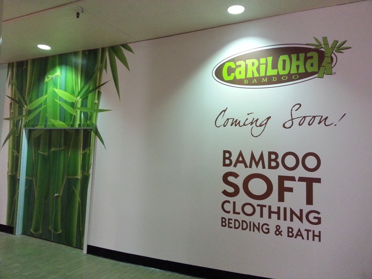 Cariloha bamboo barricade Kia•