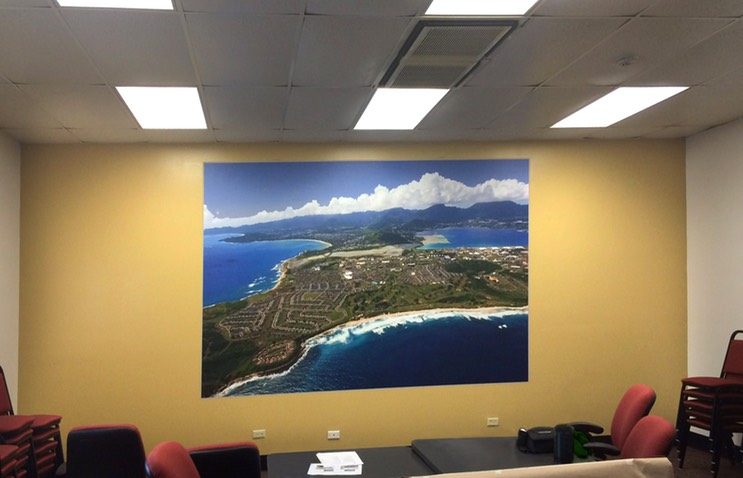 Forest City (Synergy) Office Mural 1•