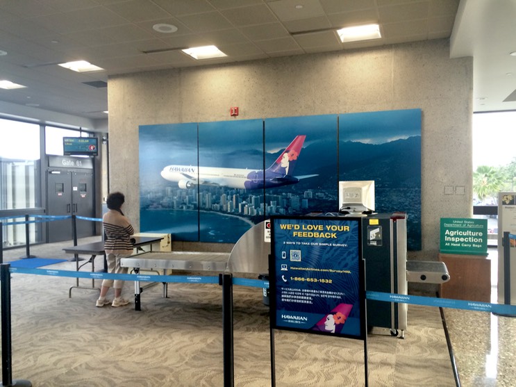 Hawaiian Airlines Terminal Display2•