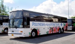 Polynesian Adventures Bus Dri 2•