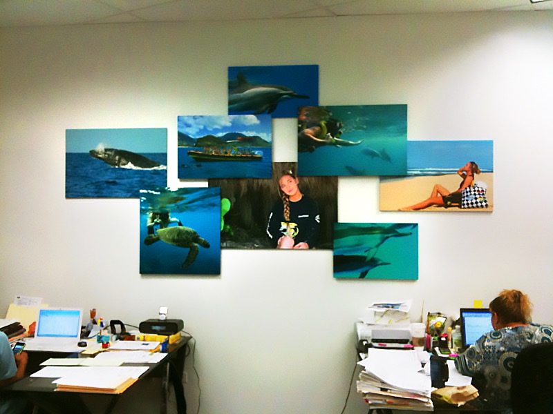 Sea hawaii office wall 0410-05•••